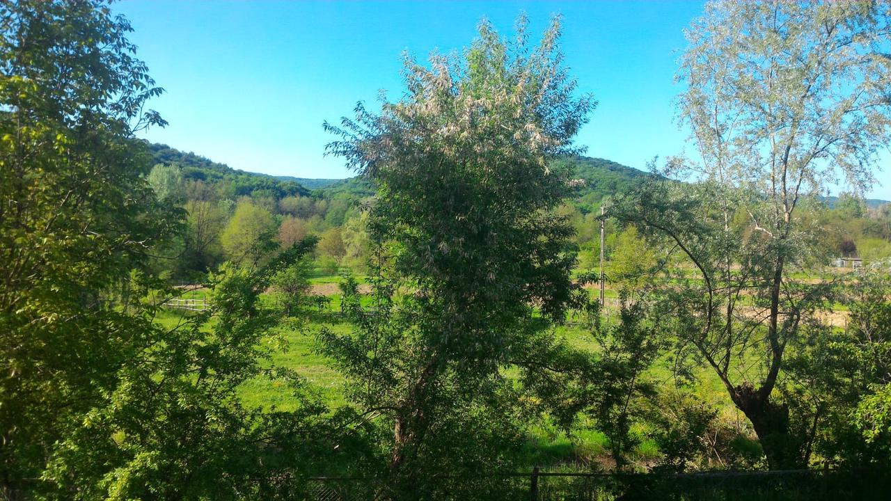 Pensiunea Casa Ghica Valea Salciilor Экстерьер фото